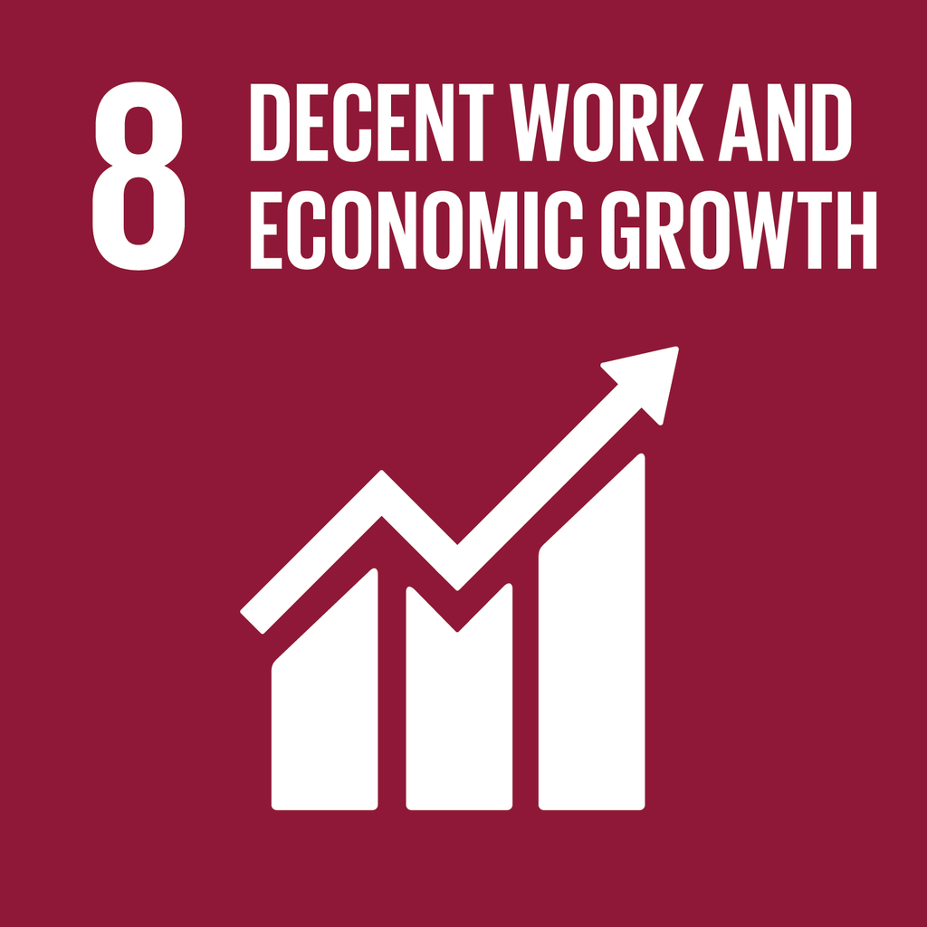 Decent work and economic growth sdg 8